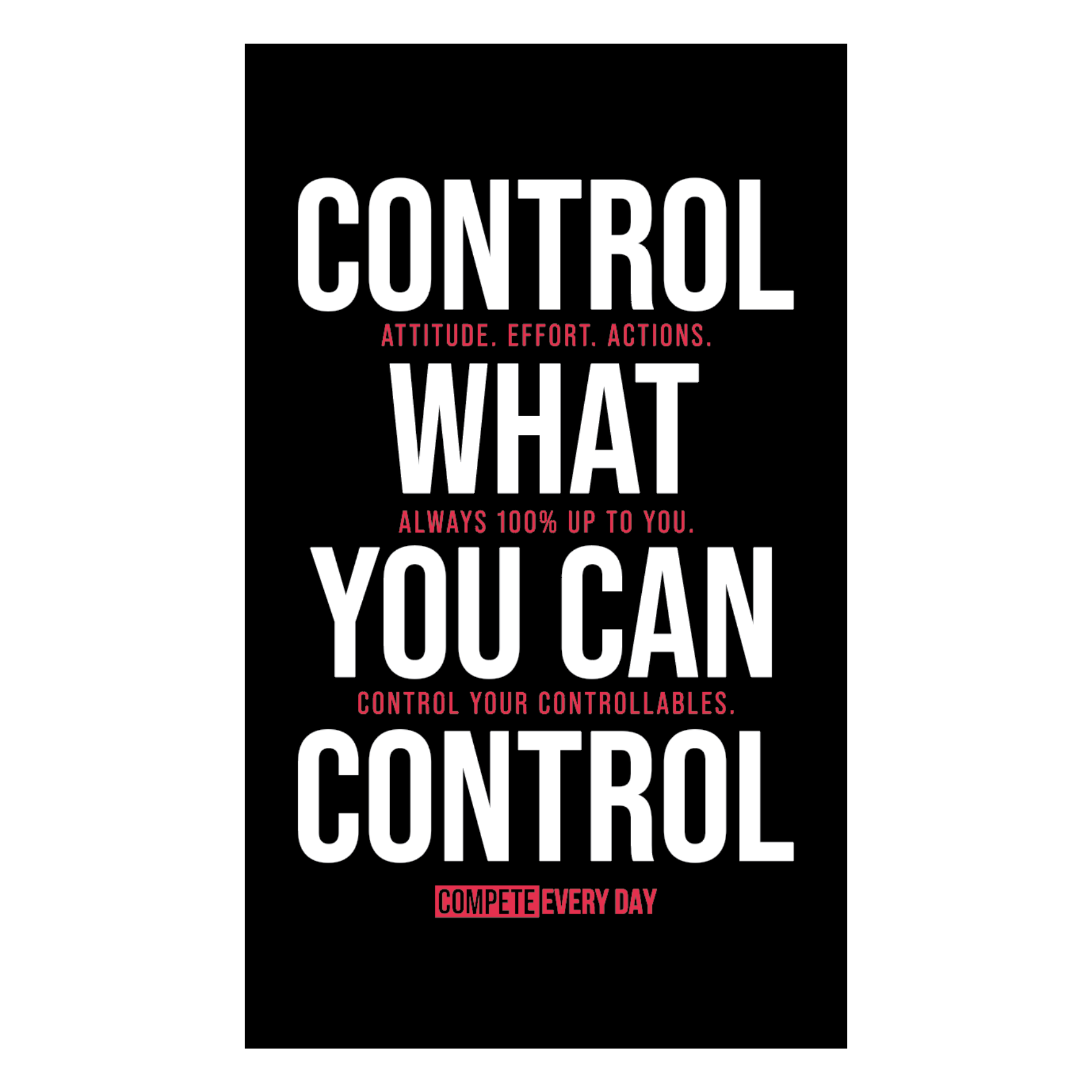 Control the Controllables (Flag)